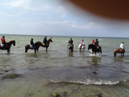 IMG_1359_web